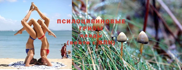 гидропоника Волосово